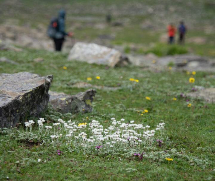 Warwan Valley Trek By Pahalgram Hikes